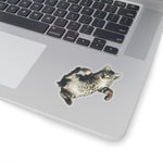 Load image into Gallery viewer, Cat Stickers - Loulou from Scattered Cats
