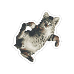 Load image into Gallery viewer, Cat Stickers - Loulou from Scattered Cats
