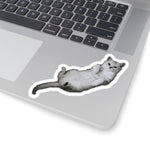Load image into Gallery viewer, Cat Stickers - Duchess from Scattered Cats
