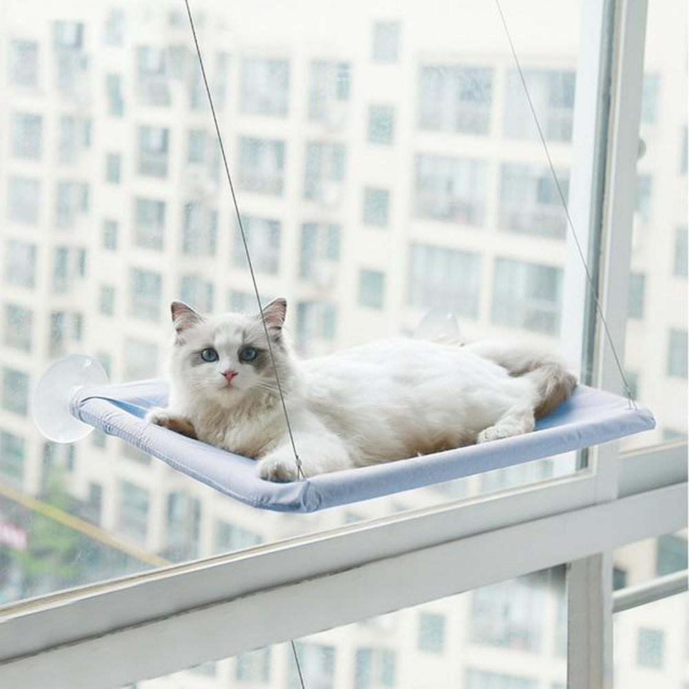 cat window bed