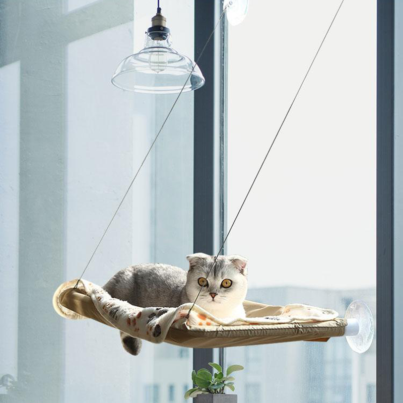 cat window perch