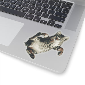 Cat Stickers - Loulou from Scattered Cats