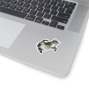 Cat Stickers - Loulou from Scattered Cats