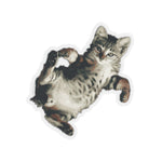 Load image into Gallery viewer, Cat Stickers - Loulou from Scattered Cats
