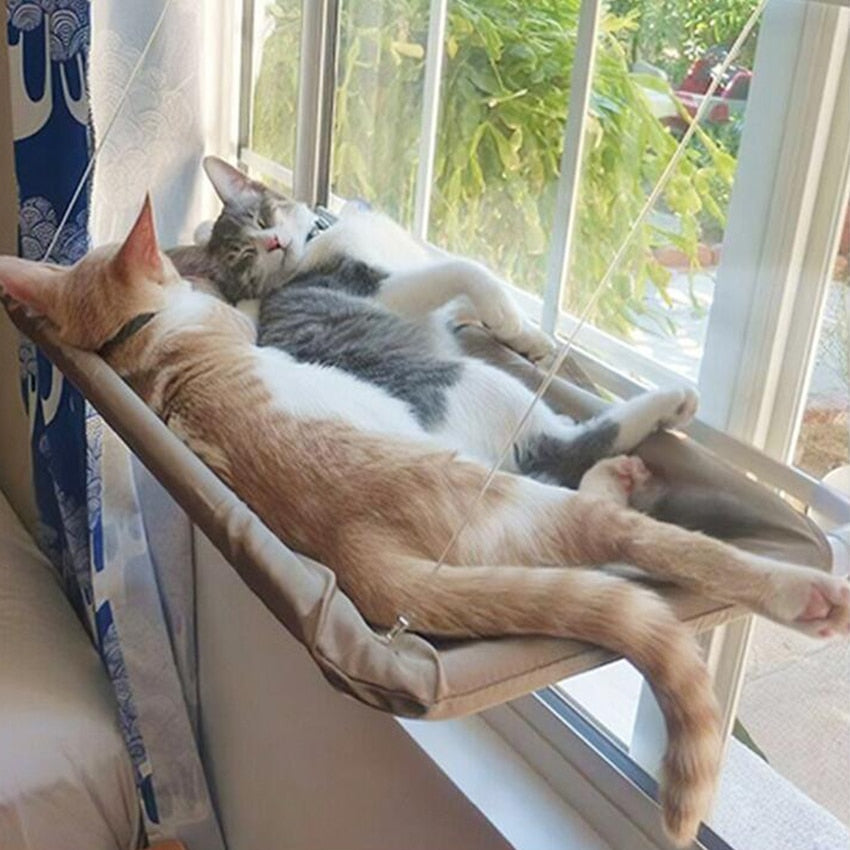 cats lounging in a window hammock